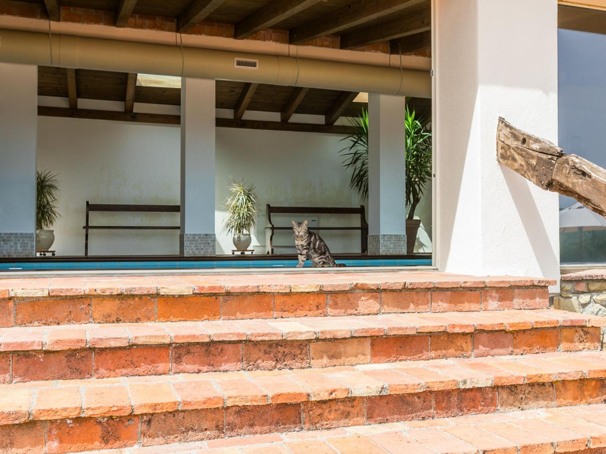 Holiday Home Ciliegiolo By Interhome Cinigiano Kültér fotó
